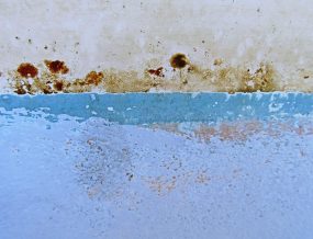 mold on a building wall