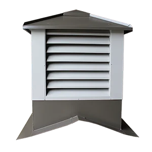 Steel building cupola and weather vane